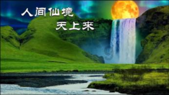 逃离鱼店