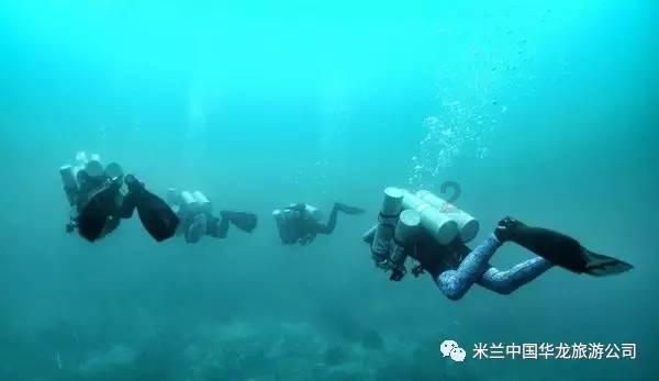 爱丽丝和闺蜜