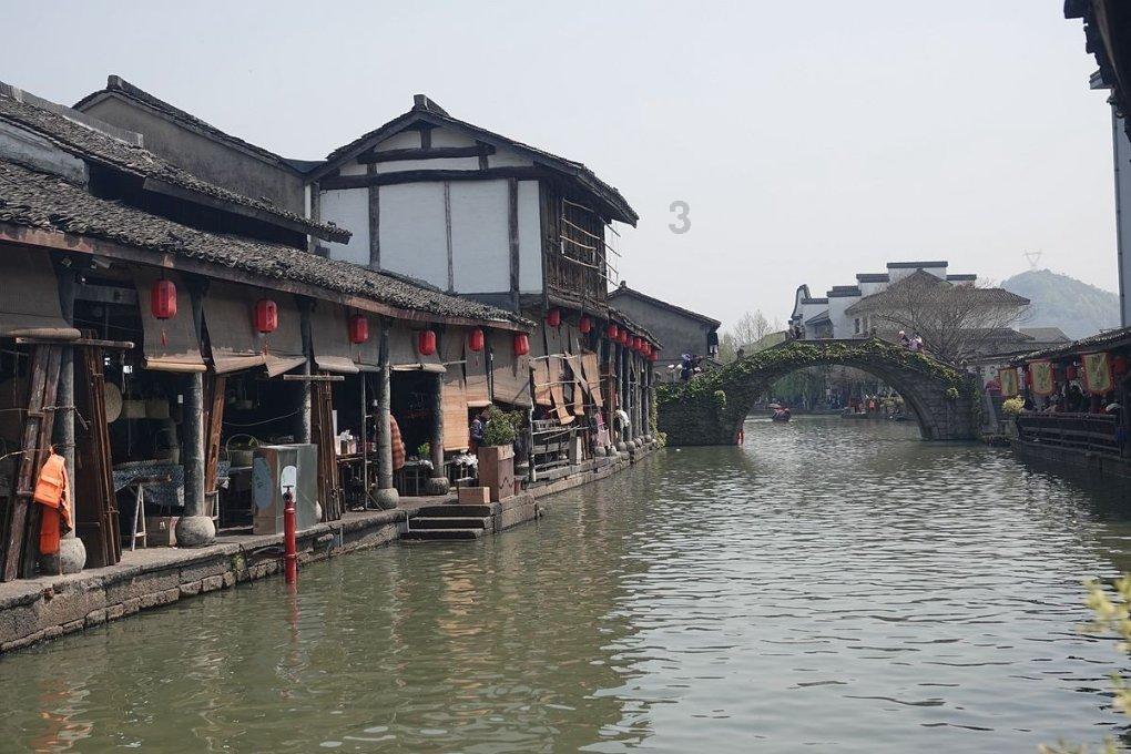 长寿花长太高怎么办，这样修剪让它又矮又爆盆？游戏画面
